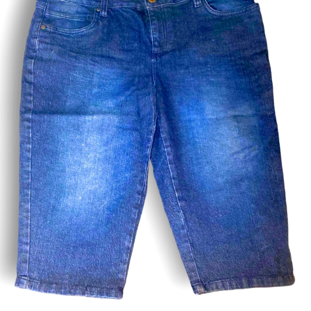Dragon Gold Platinum Womans Pants Capris Blue Pink Sparkle Size 15/16